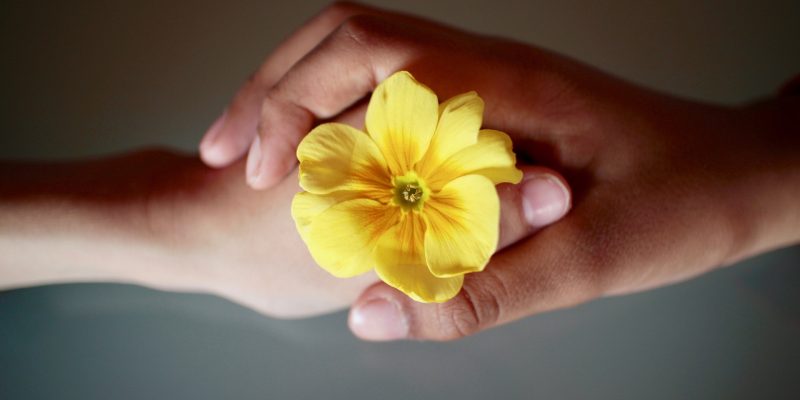 6 violencia frontera fertil